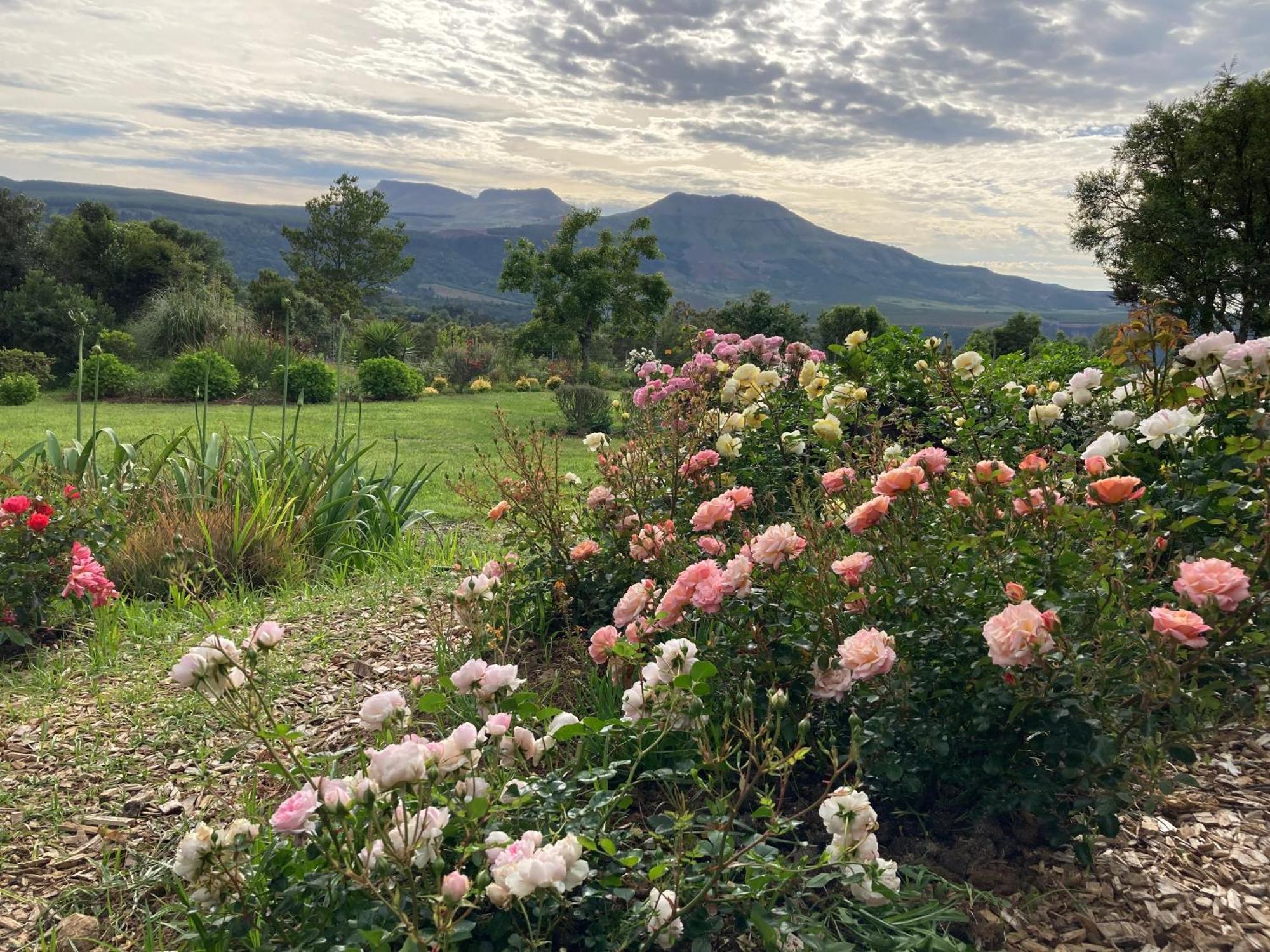 Bramber Cottage Hogsback, Living With Joy! Eksteriør bilde