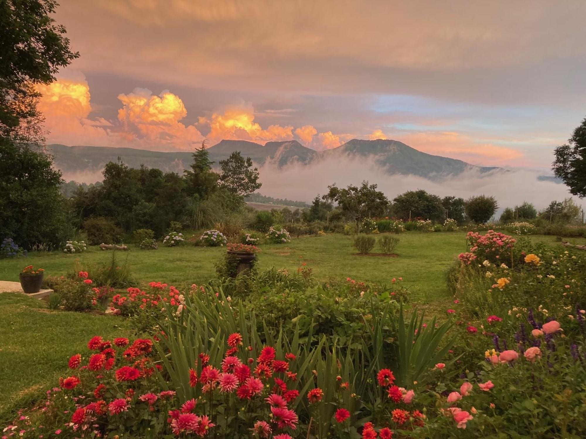 Bramber Cottage Hogsback, Living With Joy! Eksteriør bilde