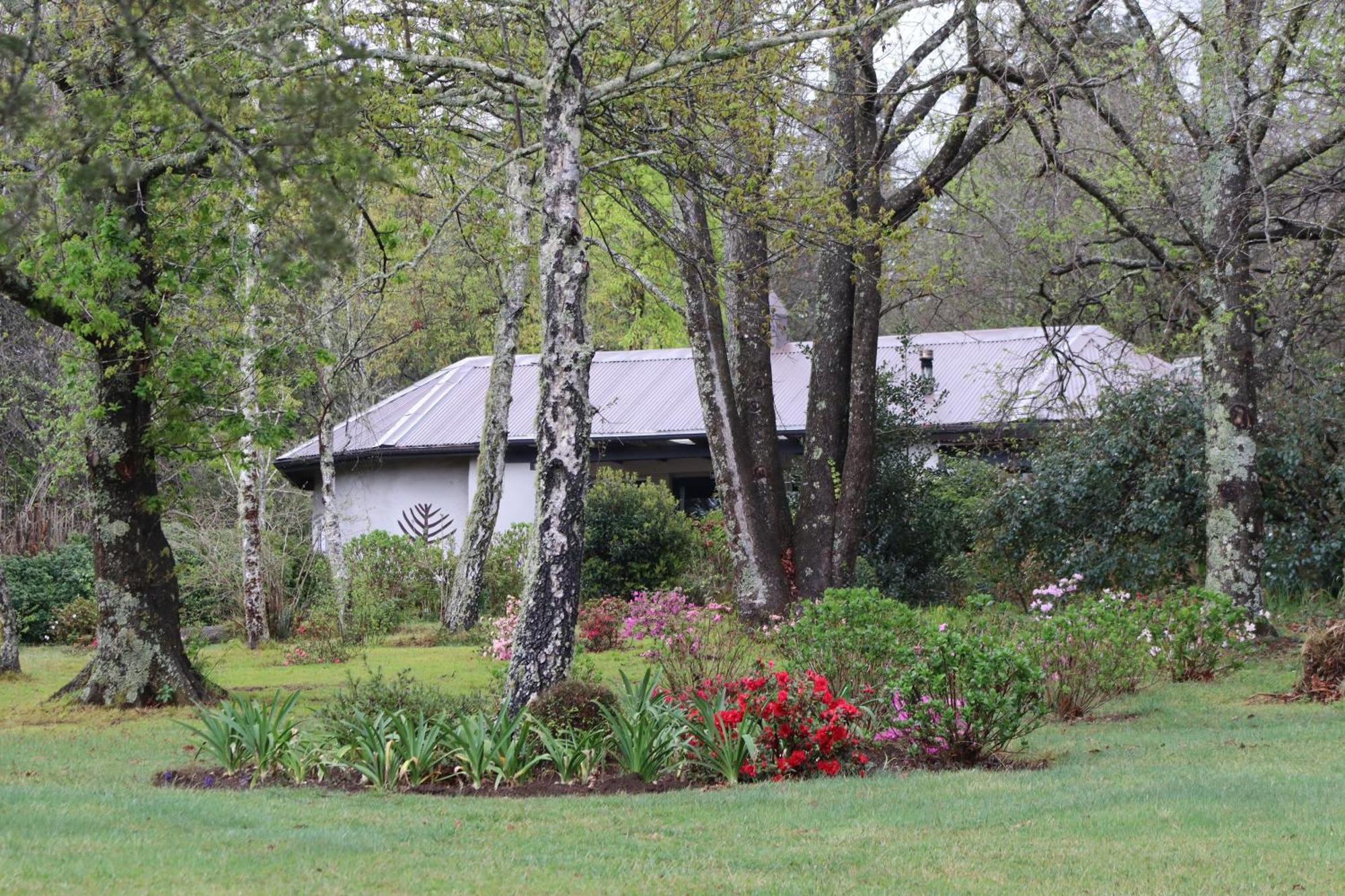 Bramber Cottage Hogsback, Living With Joy! Eksteriør bilde